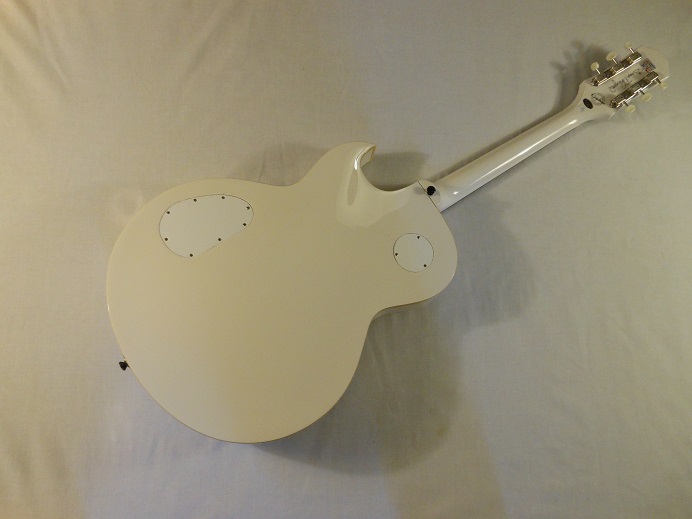 Limited Edition George Thorogood ES125TDC Picture 2